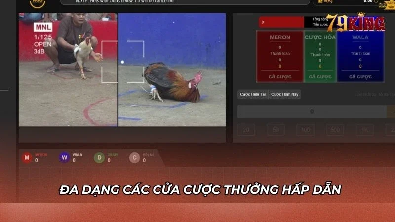 Hệ thống các cửa cược an toàn cho người chơi chọn