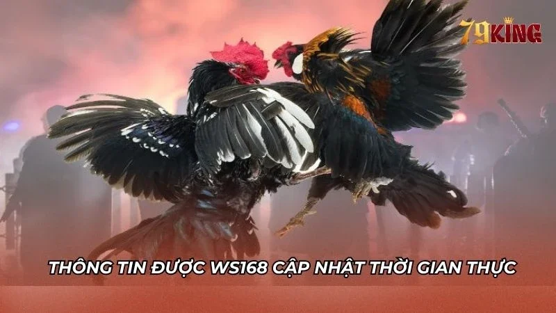 Thông tin trận đấu được nhà cái cập nhật thời gian thực